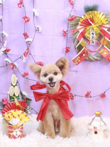 20230131クッキーくん